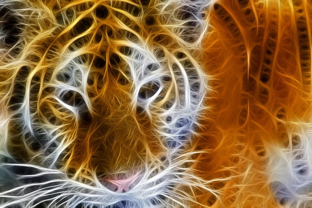 Tigerman Blog
